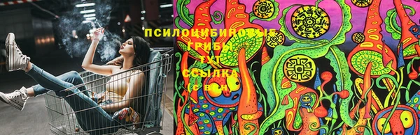Альфа ПВП Алексеевка