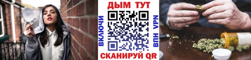 Шишки марихуана планчик Судогда